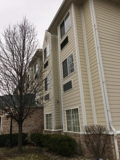 Microtel Inn & Suites by Wyndham Indianapolis Airport - image 4
