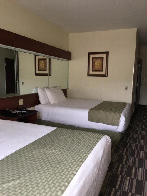 Microtel Inn & Suites by Wyndham Indianapolis Airport - image 41