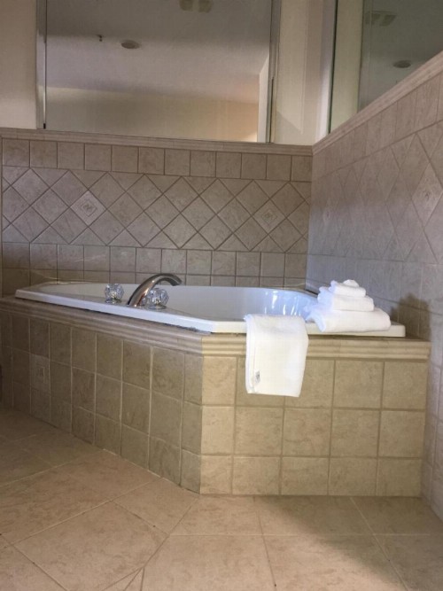 Microtel Inn & Suites by Wyndham Indianapolis Airport - image 5