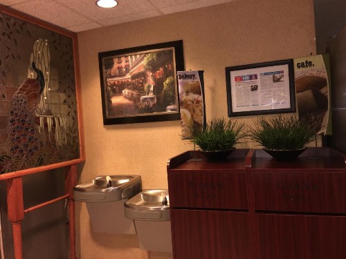 Microtel Inn & Suites by Wyndham Indianapolis Airport - image 8