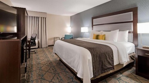 Best Western Plus Indianapolis NW Hotel - image 27