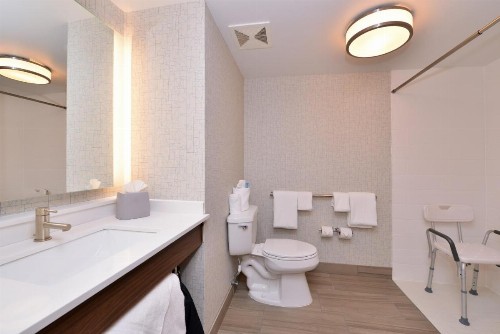 Holiday Inn Express Hotel & Suites Indianapolis Dtn-Conv Ctr Area an IHG Hotel - image 3