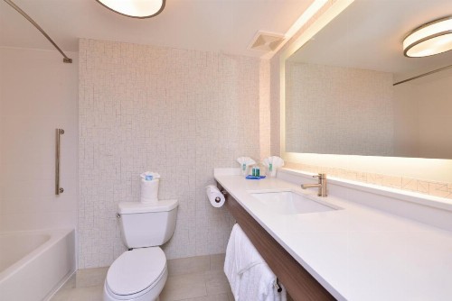 Holiday Inn Express Hotel & Suites Indianapolis Dtn-Conv Ctr Area an IHG Hotel - image 30