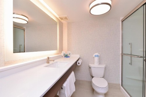 Holiday Inn Express Hotel & Suites Indianapolis Dtn-Conv Ctr Area an IHG Hotel - image 4