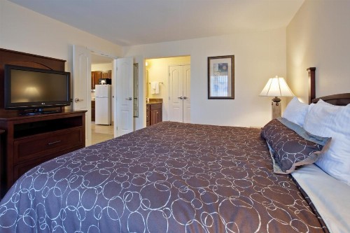 Staybridge Suites Indianapolis-Carmel an IHG Hotel - image 15