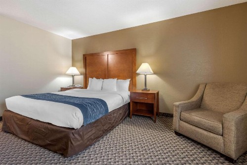 Comfort Inn South - image 11