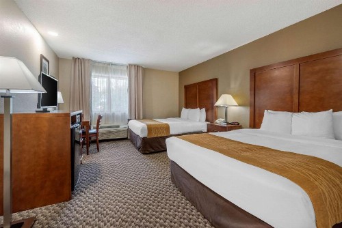 Comfort Inn South - image 12
