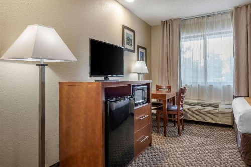 Comfort Inn South - image 13