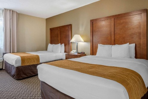 Comfort Inn South - image 14