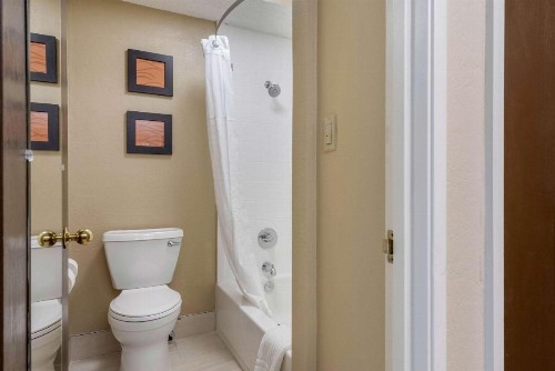 Comfort Inn South - image 17