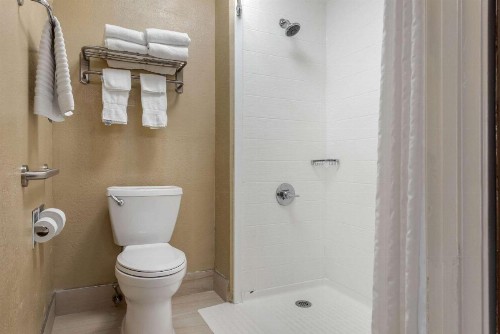 Comfort Inn South - image 18