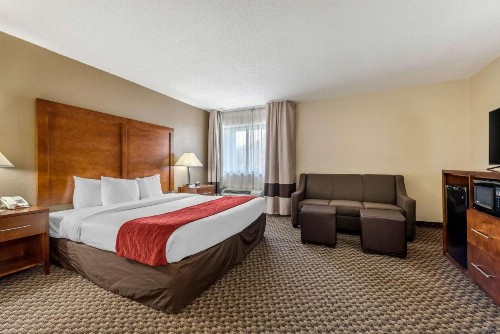 Comfort Inn South - image 20
