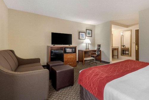 Comfort Inn South - image 22