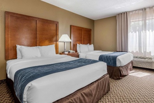 Comfort Inn South - image 24