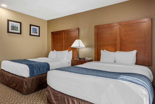 Comfort Inn South - image 25