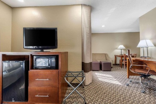 Comfort Inn South - image 26