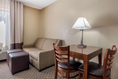 Comfort Inn South - image 27
