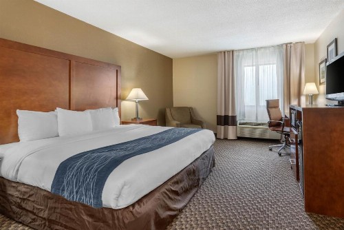 Comfort Inn South - image 34