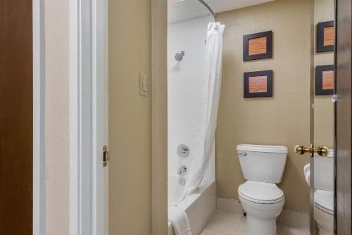 Comfort Inn South - image 36