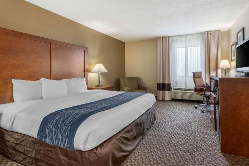 Comfort Inn South - image 7