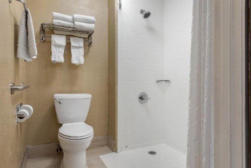 Comfort Inn South - image 8