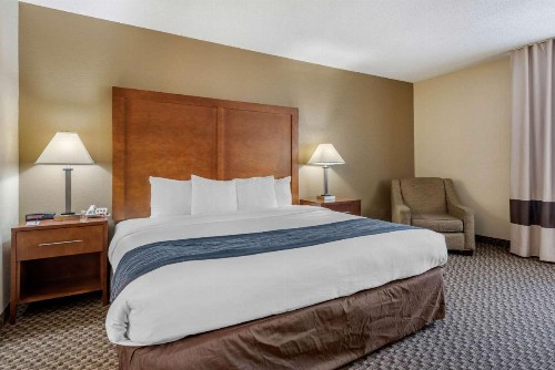 Comfort Inn South - image 9