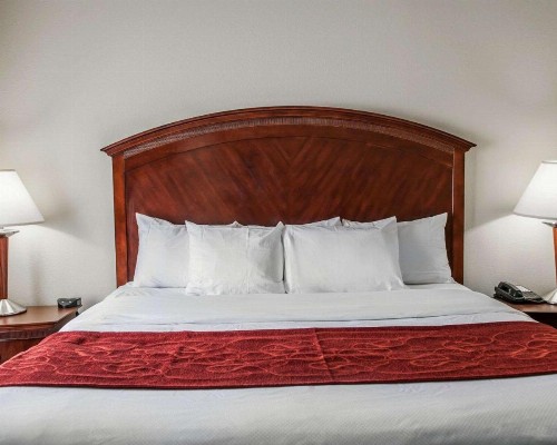 Comfort Suites near Indianapolis Airport - image 12