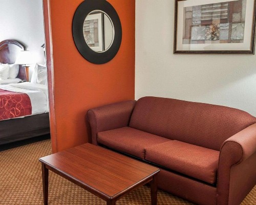 Comfort Suites near Indianapolis Airport - image 2