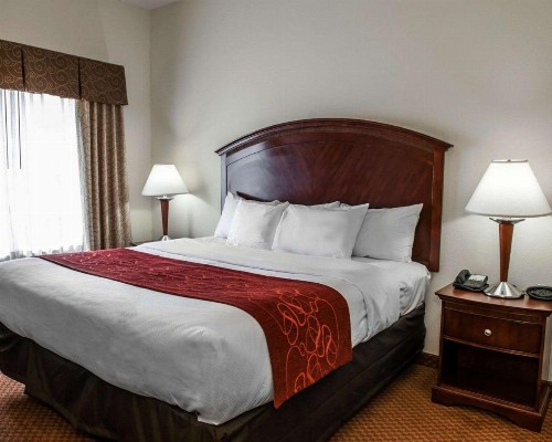 Comfort Suites near Indianapolis Airport - image 38