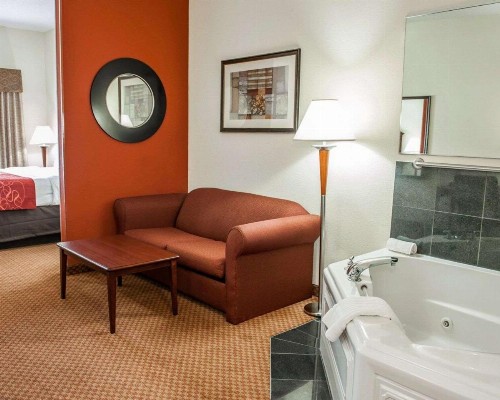 Comfort Suites near Indianapolis Airport - image 40