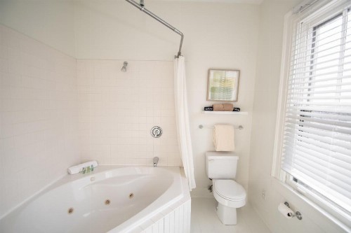 Looking Glass Inn - image 2
