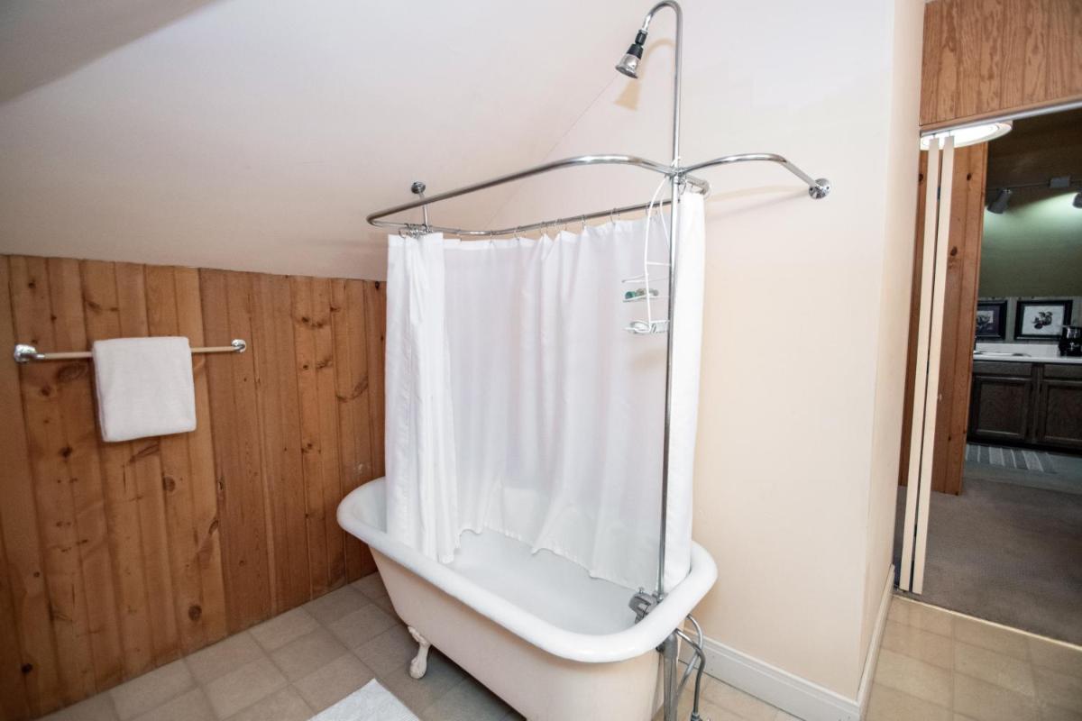 Looking Glass Inn - image 7