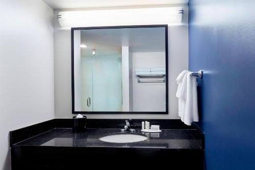 Fairfield Inn Suites Indianapolis Downtown - image 28
