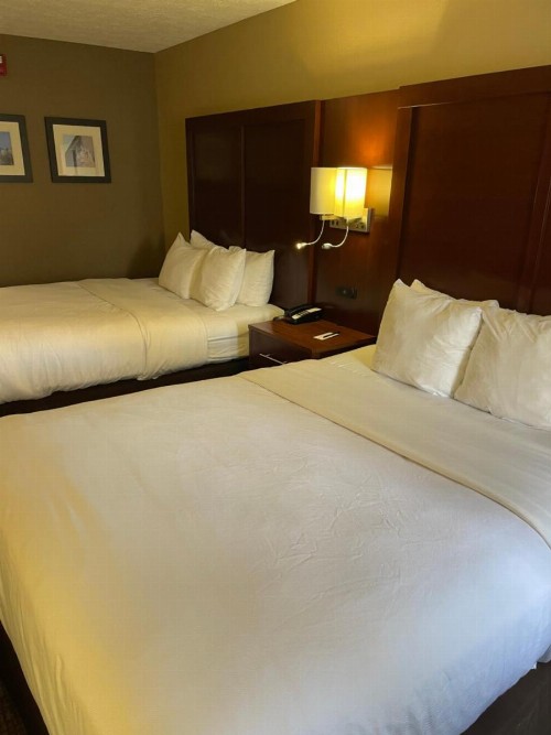 Comfort Inn Indianapolis South I-65 - image 11