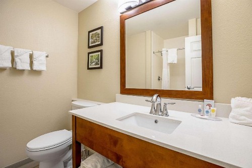 Comfort Inn Indianapolis North - Carmel - image 10