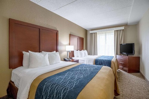 Comfort Inn Indianapolis North - Carmel - image 13