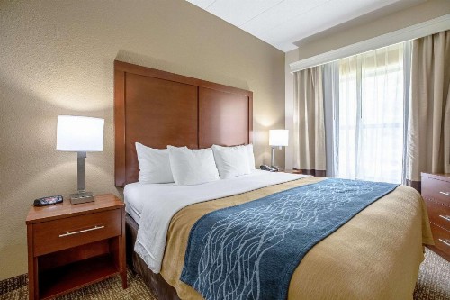 Comfort Inn Indianapolis North - Carmel - image 21