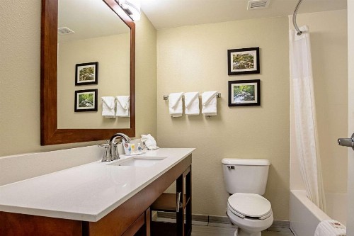 Comfort Inn Indianapolis North - Carmel - image 26