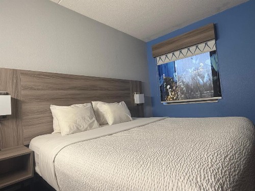 Baymont by Wyndham Indianapolis South - image 27