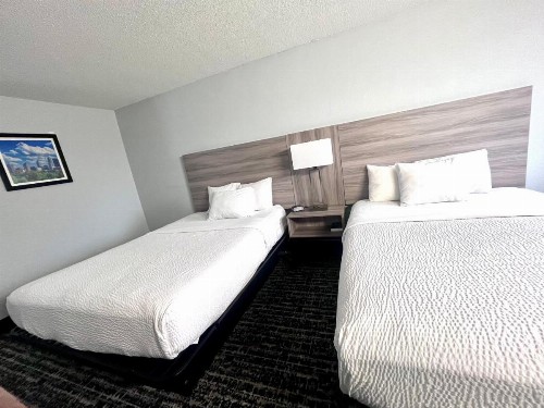 Baymont by Wyndham Indianapolis South - image 45