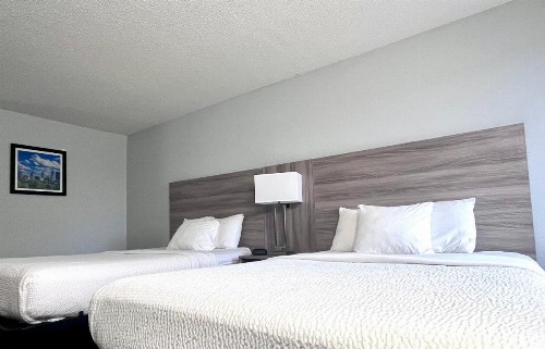 Baymont by Wyndham Indianapolis South - image 46