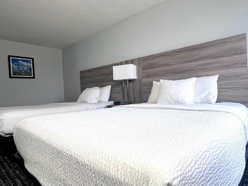 Baymont by Wyndham Indianapolis South - image 50