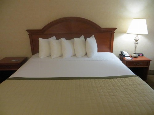 Baymont by Wyndham Indianapolis West - image 8