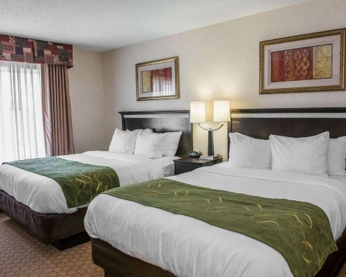 Comfort Suites Southport - image 22
