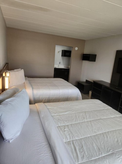 Royal Inn Hotel - image 27