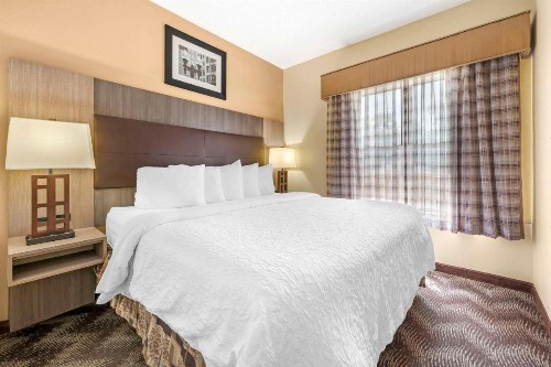 Best Western Airport Suites - image 15