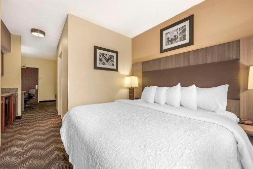 Best Western Airport Suites - image 16