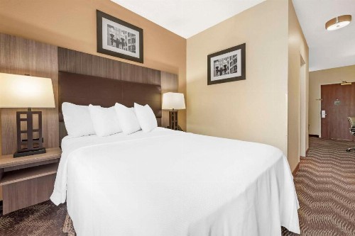 Best Western Airport Suites - image 19