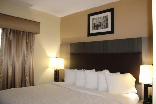 Best Western Airport Suites - image 49