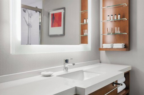 Delta Hotels by Marriott Indianapolis Airport - image 9
